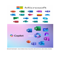 Microsoft Suite