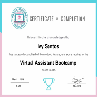 Virtual Assistant Training Certificate