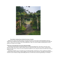 The healing power behind owning a garden