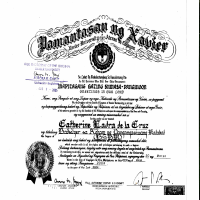 University Diploma