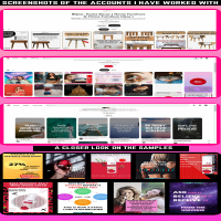 Portfolio Infograph
