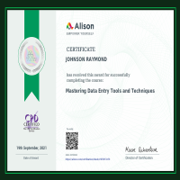 Mastering Data Entry Tools & Techniques Certificate 