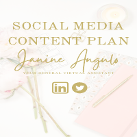 Social Media Content Plan 