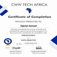 Data Analysis Certification 