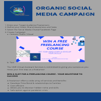 Organic Social Media Campaign