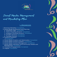 SOCIAL MEDIA MANAGEMENT AND MARKETING PLAN
