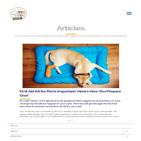 Article Writing - Pet First Aid Kit