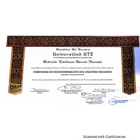 Bachelor Degree