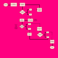 SOP & Flowchart for a fashion brand