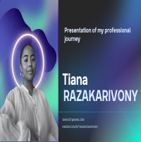 My professional journey