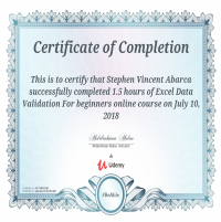 Excel Validation Certificate