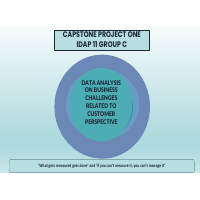 Project Work on Challenges related to Customer Perspectives 