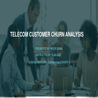 Customer Churn Analysis – Python
