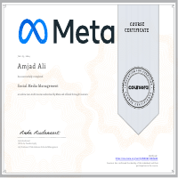 Social Media Marketing Management