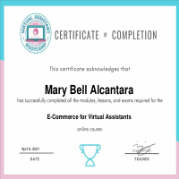 Ecommerce Certificate