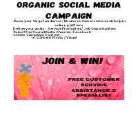 Organic Social Media Campaign