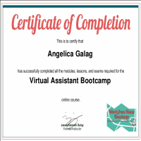 Virtual Assistant Bootcamp Certification