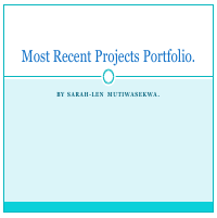 Digital Marketing Project Porfolio