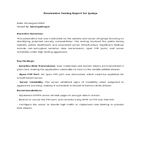 Pen-Test Report 