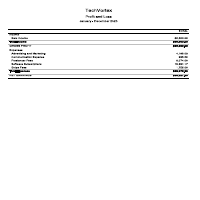 Software Company P&L