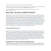 All about Purple Puch
