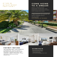 Real Estate Flyers - Rentals