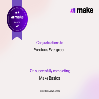 Make.com certfied