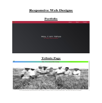 Responsive Web Designs