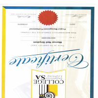 Project Mangagement Certificate