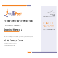 MS SQL Developer