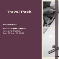 Travel Itinerary 