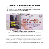 Organic Social Media Facebook Campaign for Inbox Gemini