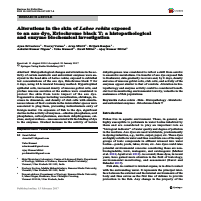 Research work 