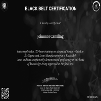 Lean Six Sigma Black Belt