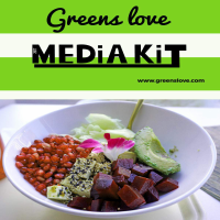 Media Kit Book