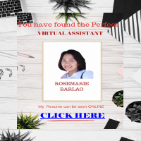 Looking for reliable support for your business? That's me! 