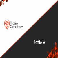 Phoenix Consultancy Portfolio 2020