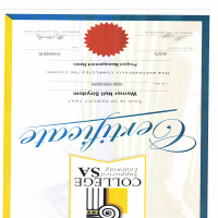 Project Mangement Certificate