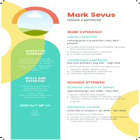 Resume Sample
