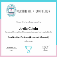 Virtual Assistant
