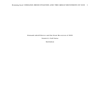 Demand-sided Policies and the Great Recession of 2008