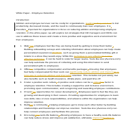 Excerpt from non-fiction writing on employee retention