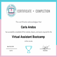 Intensive Virtual Training 