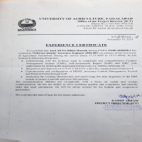 Experience letter UAF