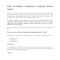 How-To-Make-A-Bioactive-Leopard-Gecko-Tank_