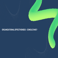 Organizational Effectiveness Assessment