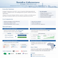 Strategy and Ops Lead Portfolio - Sandra Udenenwu