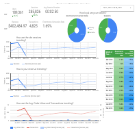 Ecommerce report sample