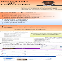 Professional Executive Virtual Assistant Portfolio