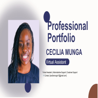 virtual assitant portfolio